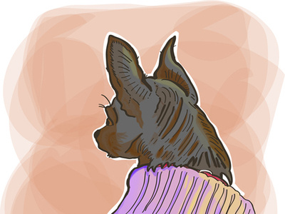 Small Dog In Sweater dog illustration illustration vector