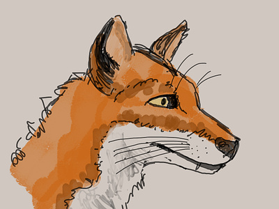 Fox Sketch animal art fox illustration