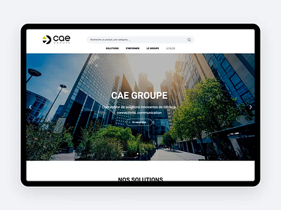 CAE Groupe Website agence animation b2b cable cae design dnd ecommerce groupe home magento principle sketch ui website