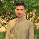 Syed Ghulam Abbas