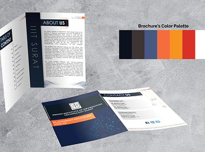 TnP Brochure branding brochure brochuredesign design graphic design illustration typography