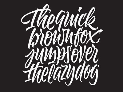 The quick brown... brush lettering script type typography