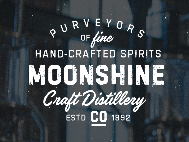 Haldelson Type Collection font typeface lettering type script brush typography