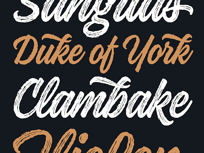 Kaleidos Rough Typeface brush font script type typeface typography