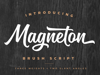 Magneton typeface brush font script type typeface typography