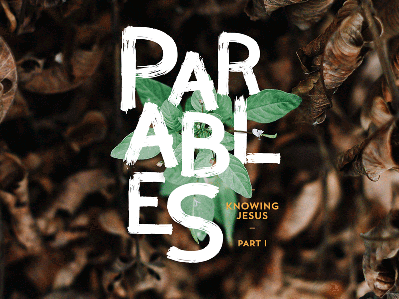 Parables • Miracles • Encounters