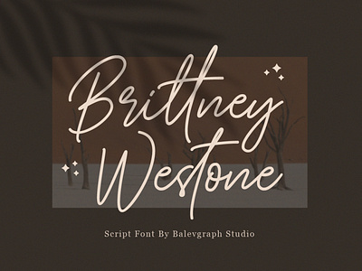 Free Font – Brittney Westone Signature Script free typeface silhouette font