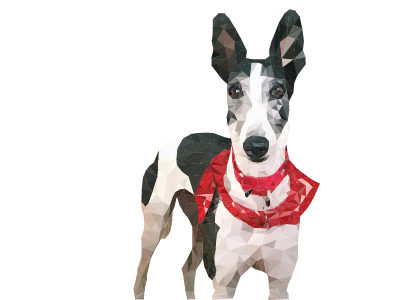 Greyhound Illustration dog dog portrait greyhound illustration pet portrait vector