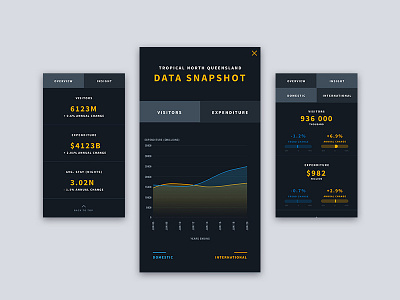 Mobile data visualisation UI dark data data visualisation graphs mobile stats tourism ui ux