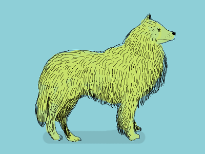 Dog Illustration dog illustration