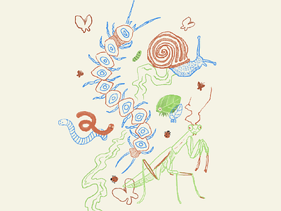 Are Worms Bugs? bugs doodle drawing illustration