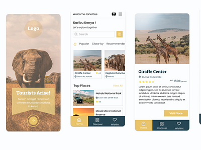 Tourist Application Guide dailyui design mobileappdesign tourist touristapp ui ux