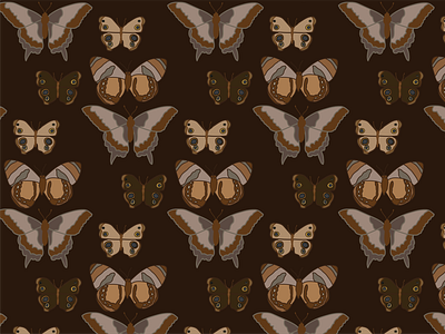 Brown Moth Pattern by Courtney Graben brown butterflies butterflies butterfly college digital art moth moths pattern pattern repears pattern repeats surface design surface pattern design