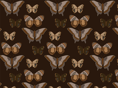 Brown Moth Pattern by Courtney Graben