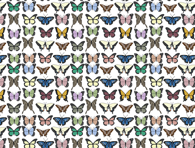 Butterfly Pattern by Courtney Graben design digital art graphic design illustration pattern surface design