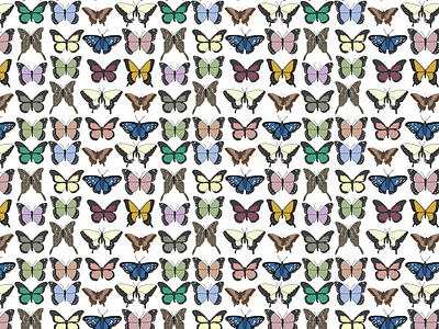 Butterfly Pattern by Courtney Graben