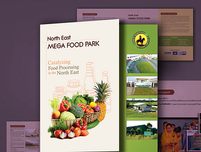 Brochure Design design