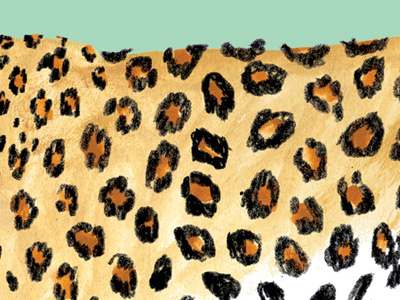 leopard gouache illustration pencil