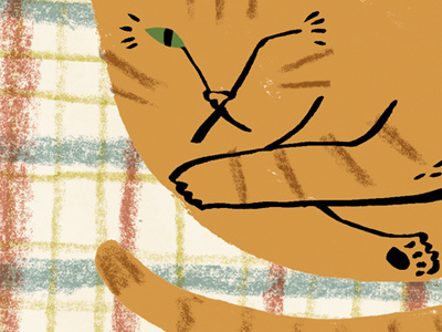blanket cat illustration ink pencil