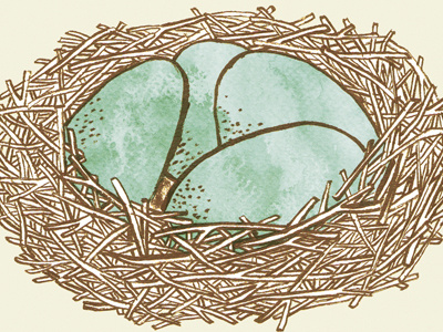 nest illustration ink