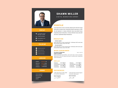 Professional Resume/CV templates branding cv design flyer flyer design flyer template graphic design professional resume resume template vector