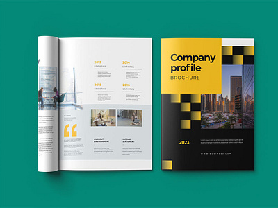 Company Profile Or Brochure