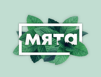 "Мята" showroom branding graphic design logo mint showroom wear мята