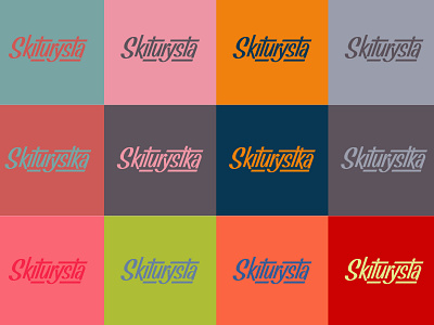 Logotype for Skiturysta