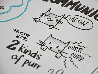 Sketchnoting about cats