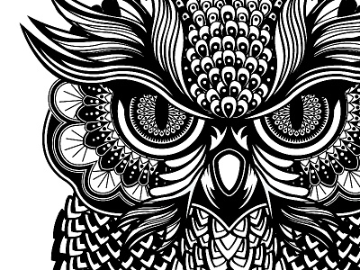 Owl animal bird black and white design detail drawing illustration owl vector