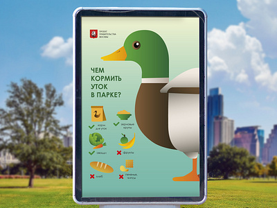 Poster "What to feed ducks in the park?"