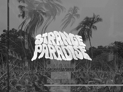 Strange Paradise black and white collage gritty grunge paradise strange texture warp zine