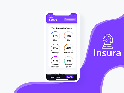 Insura Profile View dashboard dashboard ui finance finance application gameification hackathon insurance insurance app pennapps purple ui