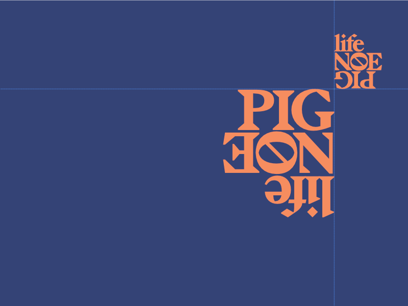 Pigeon life dribbble