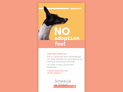DailyUI - Day 36 - Special Offer daily ui design digital design dogs email blast email design special offer ui ux