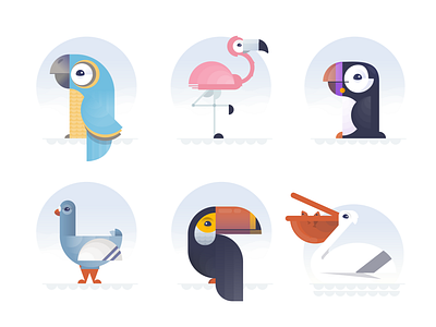 The Birds... animals birds flamengo parrot pelican pigeon puffin shapes toucan