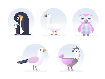 The Birds pt 2 animal bird birds chicken goose hen owl penguin seagul series