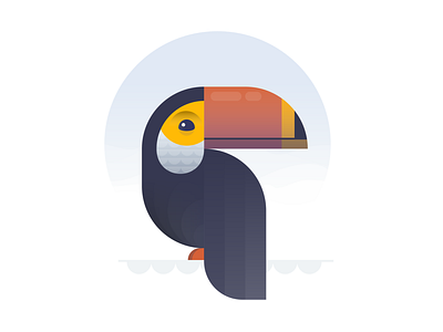 Toucan animal bird birds birthday fly series shapes toucan