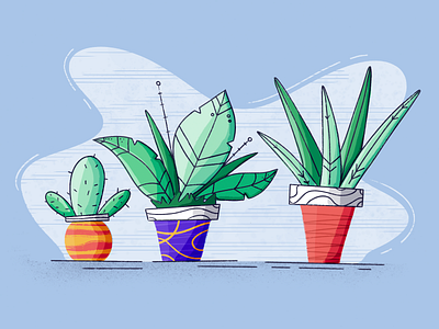 Plant Exploration