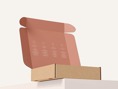 Skincare Branding + Packaging Box Design