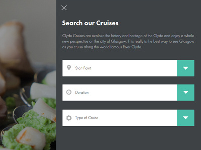 Cruise Search Overlay form futura icons