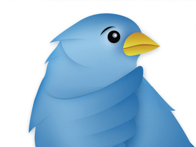 Twitter Icon - Social Media Workshops bird blue illustration twitter