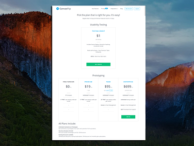 Revamped Pricing Page of CanvasFlip