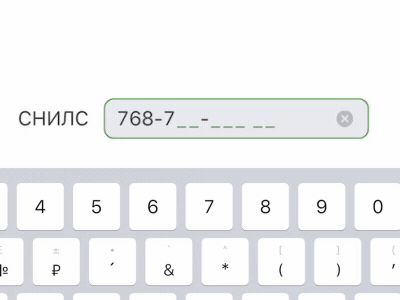 Input iOS Infield Blinking cursor mask (real Sberbank product) blinking cursor infield input input mask ios mobile pointer real product sberbank