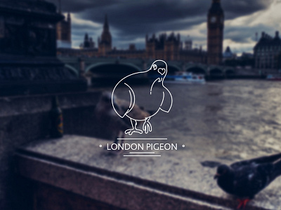 London Pigeon