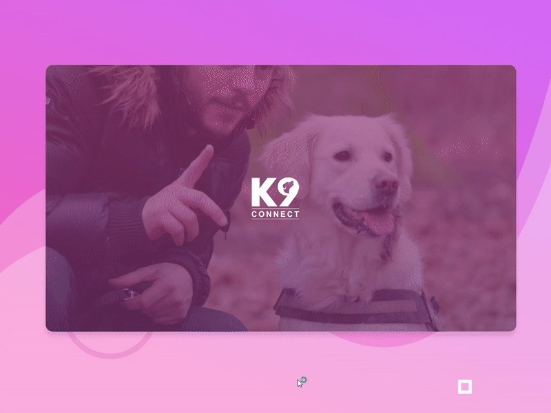Dog Website