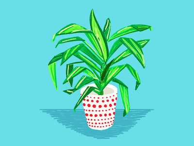 Plant illustration plant procreate