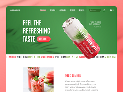 Watermelon Mojito Coctail Landing UI branding can drinks first screen fruit graphic design landing packaging promo ui watermelon web