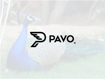 P for Pavo - FSVISUALS agency branding fsvisuals identity logo logodesign logogrid media pavo wings