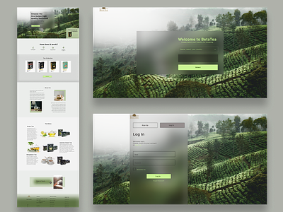 Redesign BetaTea web site (concept) app branding design landingpage redesign ui ux